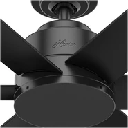 Ventilador de techo Kennicott