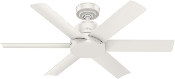 Ventilador de techo Kennicott