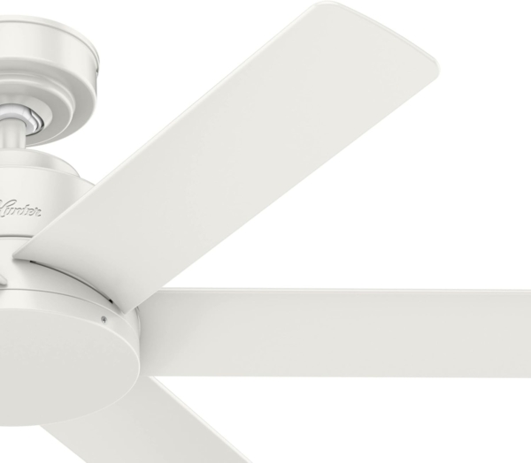 Ventilador de techo Kennicott